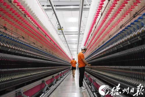 德州期中考今日第一站 夏津县技术进出口的活力与潜力